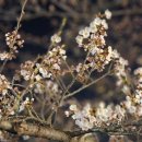 은파호수공원 9-5 이미지