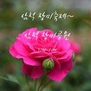 일원장미공원 화장실 네이버블로그