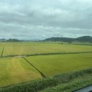 히노키잠(1호점) 이미지