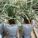 일양교회 | 일상 포토덤프