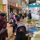 황금지사 이미지