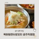 (공주냉면) 시원한 밀면과 바삭한 만두의 조화, 목화밀면&amp;양꼬치 공주직영점 후기