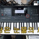 도레미씨앗