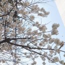 모리커피울산 이미지