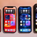 iPhone 12의 네 가지 모델 비교 : iPhone 12, Pro, Pro Max 및 Mini의 차이점 이미지