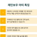 레인보우에듀