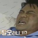 웰킨두피탈모센터전주점