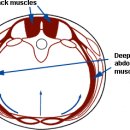 안산연세병원 이미지