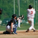 배나물야구장 이미지