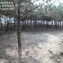 파주6리 경로당 네이버블로그