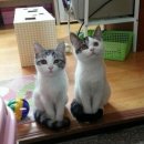 너 나 우리 이미지