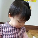 봉산암반수송어회 이미지