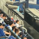 이수페타시스노동조합 | 대구 삼성라이온즈파크 이수페타시스 1루 테이블석 T1-2구역 10열 직관 후기