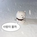 정대건 장편 소설 급류 책 리뷰/요약/후기/줄거리/독후감/해석/서평