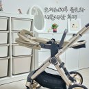 강릉 하우스 | 강릉베이비하우스 오이스터4 유모차 내돈내산 후기