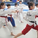 ALL바른 태권도장 이미지