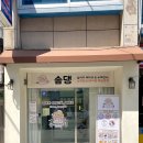 솜댕 이미지