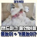 천지연랜드 | 부천 랜드마크 풀앤버블, 수영과 거품놀이 완벽 조화
