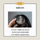 모가나의원 이미지