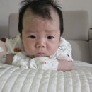 이레세탁 | [후기] 양천구 드림가 산후도우미 업체 이용 후기 ㅣ 이레맘의 산후관리 리얼 체험담