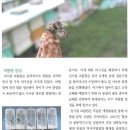 효선이네 이미지