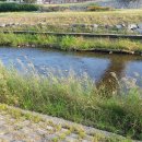 조은메디 이미지