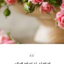 고흥댁 이미지
