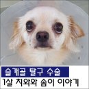 원당동물병원 이미지