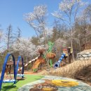 옥화자연휴양림 이미지