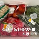 2026 임산부 친환경농산물 꾸러미 지원 방법 &amp; 배송받은 후기