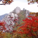 계남초교 이미지