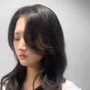 젤라헤어 이미지