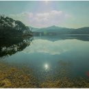 호숫가의아침 이미지