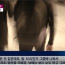 서당체육관
