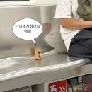 (주)메디나 이미지