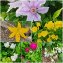 마장초 정문 앞 이미지