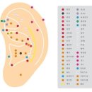 이혈테라피 이미지