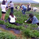 신당농장 이미지