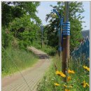 갈맷길(5코스) 이미지