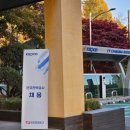 [남부] 라인댄스 A(2025) | 2025년 하반기 한국전력공사 전기직(강원 송변전) 최종 불합격 후기