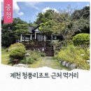 청풍리조트한식당금사연 | 제천 청풍리조트 근처 먹거리 금성제면소 밥상위의 보약한첩