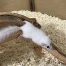 서산아크릴 네이버블로그