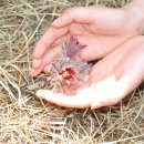 자연동산 이미지