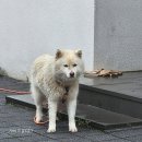 파우제419 펜션 이미지