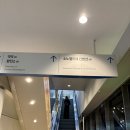 대신펠리체 | [웨딩홀] 소노펠리체 컨벤션 (3탄) - 소노펠리체 상담 및 홀 투어 후기(계약 O, 당일 계약 후기)