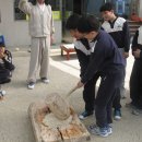 해림초교 이미지