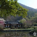 의신사천마을 이미지