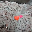산야초건강원 이미지