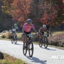 모범MTB 뉴시스