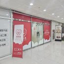 하트몽 | 양산 강아지 미용 잘 하는 곳 추천 양산 하트몽